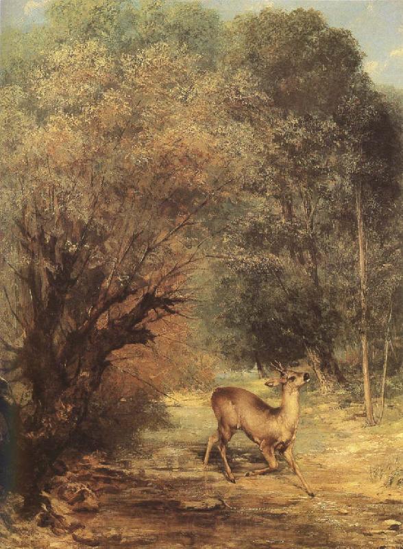 Gustave Courbet Deer Norge oil painting art